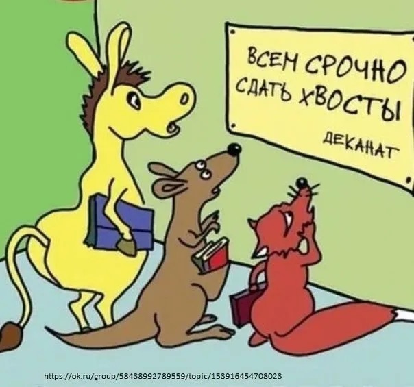 https://i.ibb.co/xq6wH7dm/IMG-2293.jpg