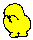 IMG-8561.gif
