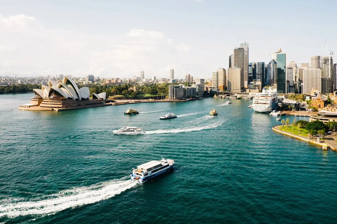 Sydney's Underwater Forests Are Being Reborn