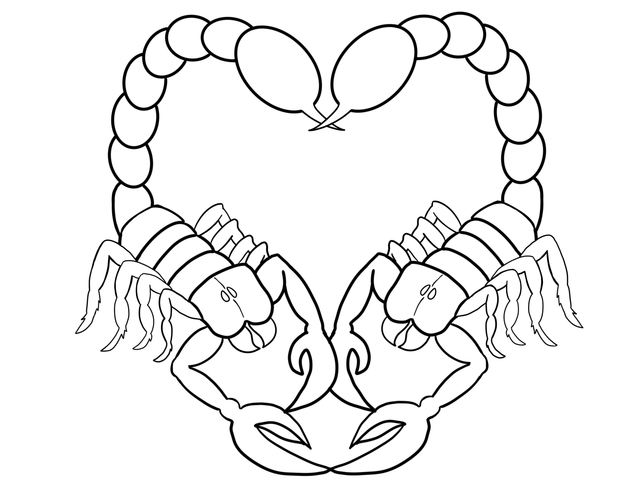IMG-0133.png