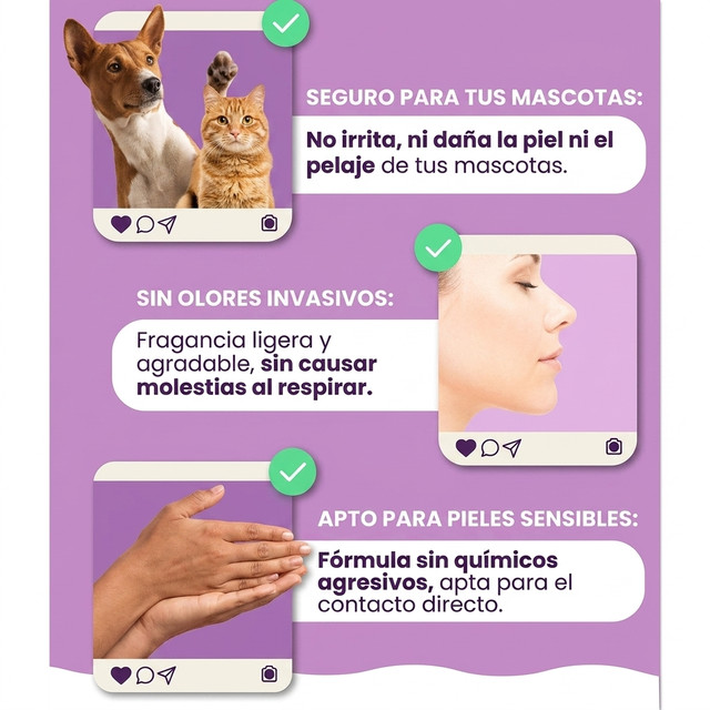 Miniatura superior 2