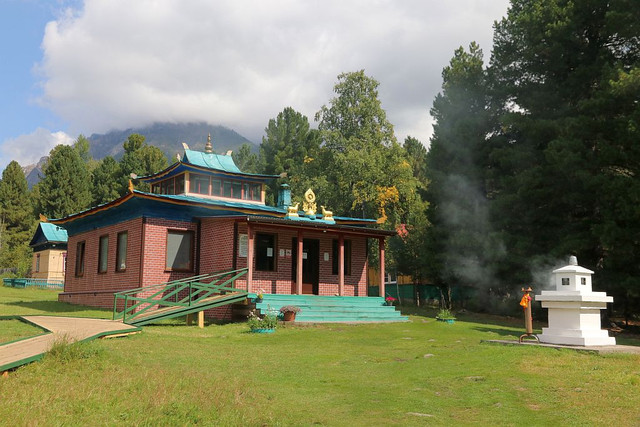IMG 0479.jpg