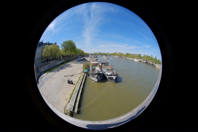 DSCF9253.jpg