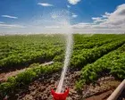 PFAS Chemicals Found in Half of California Waterways