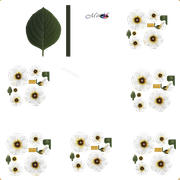 HFQ0b Ci