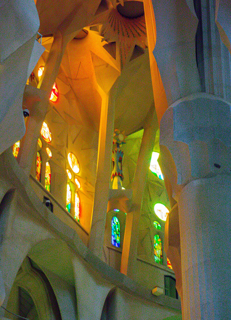 DSC01708.jpg