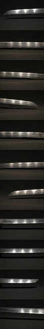 DSC5221.jpg