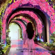 三角梅科博园10