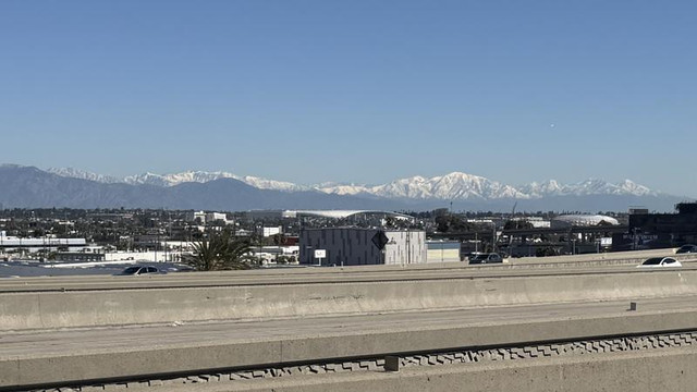 IMG 0824.jpg
