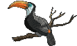 122.gif