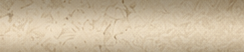 s header.png