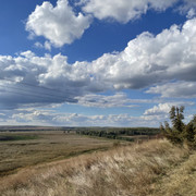 IMG 0406