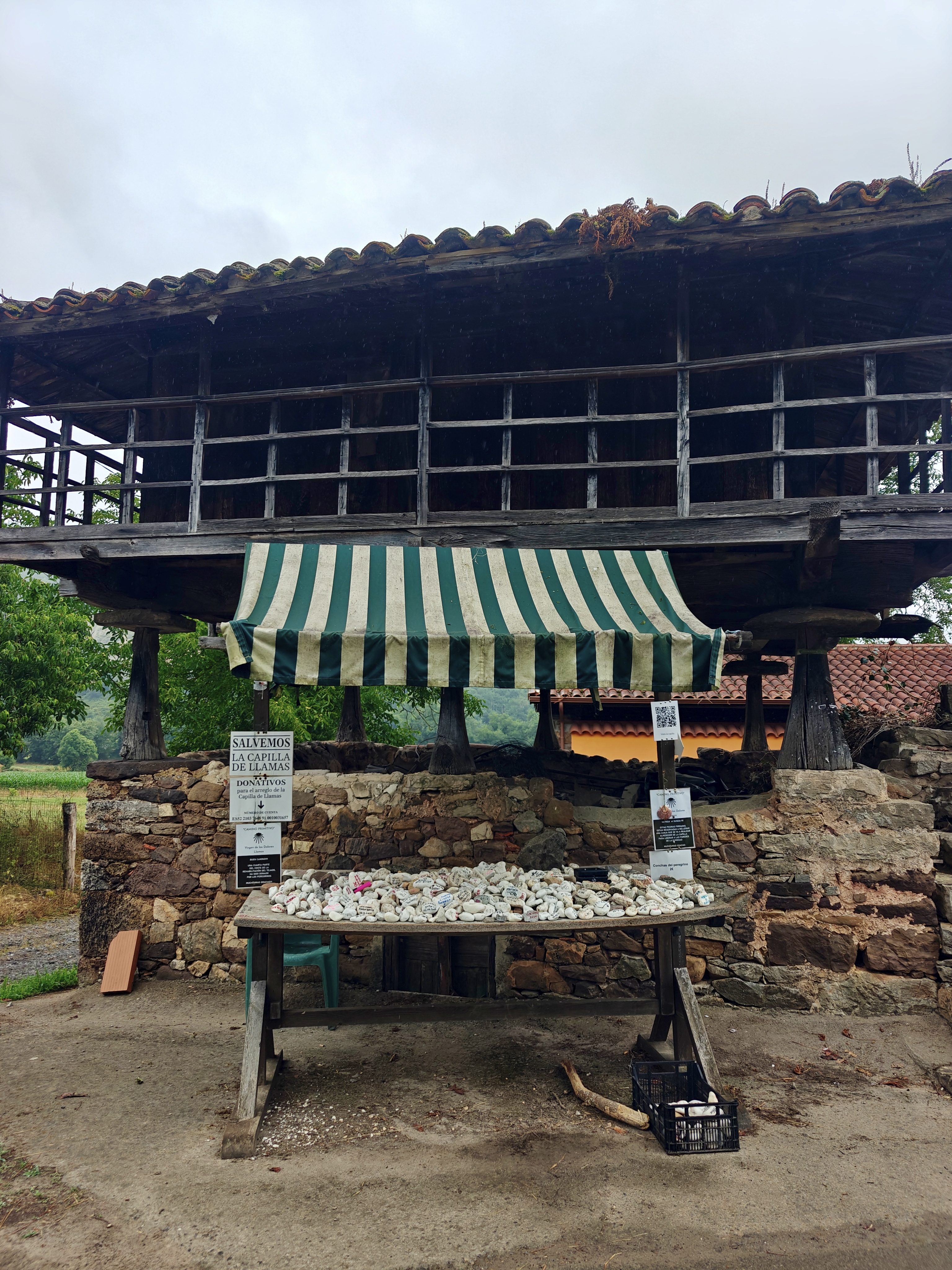 Dag 21 - San Juan de Villapañada 🥏 Bodenaya 8