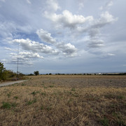 IMG 2723