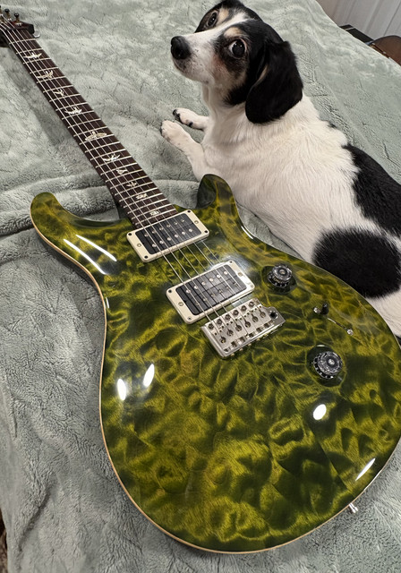 NGD! 2013 custom 24 jade | Official PRS Guitars Forum