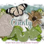 Christy 5070B