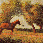 41