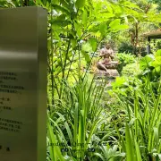 克切拉禅修林16