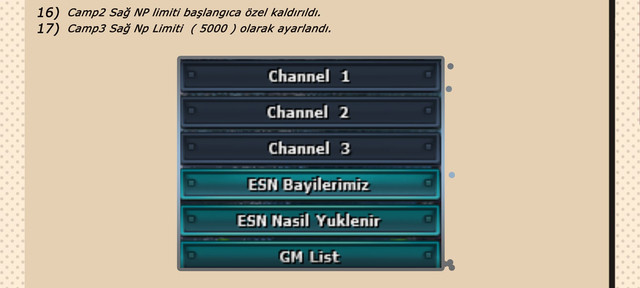 31.jpg