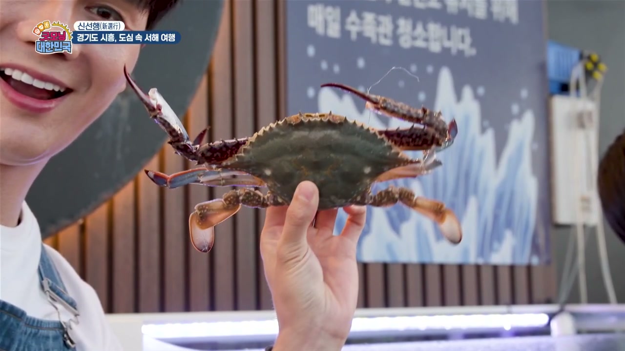 굿모닝 대한민국 시흥 꽃게구이 캡처