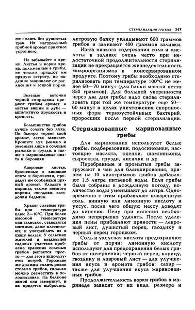 1989-250