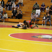 IMG-0425