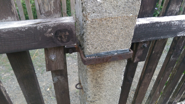 IMAG0232