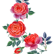 dfd28850f893ad777ae9e0983e0c0f6f