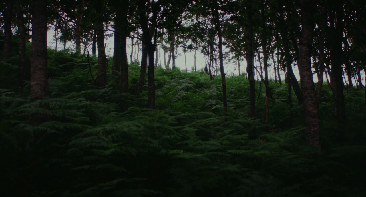 The Human Hibernation Screenshot