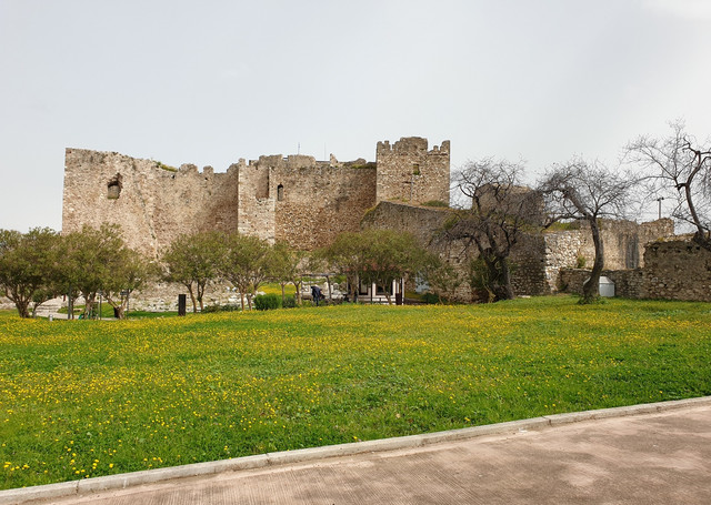 85.jpg