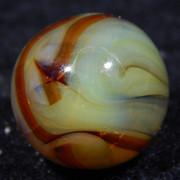 DSCN6251