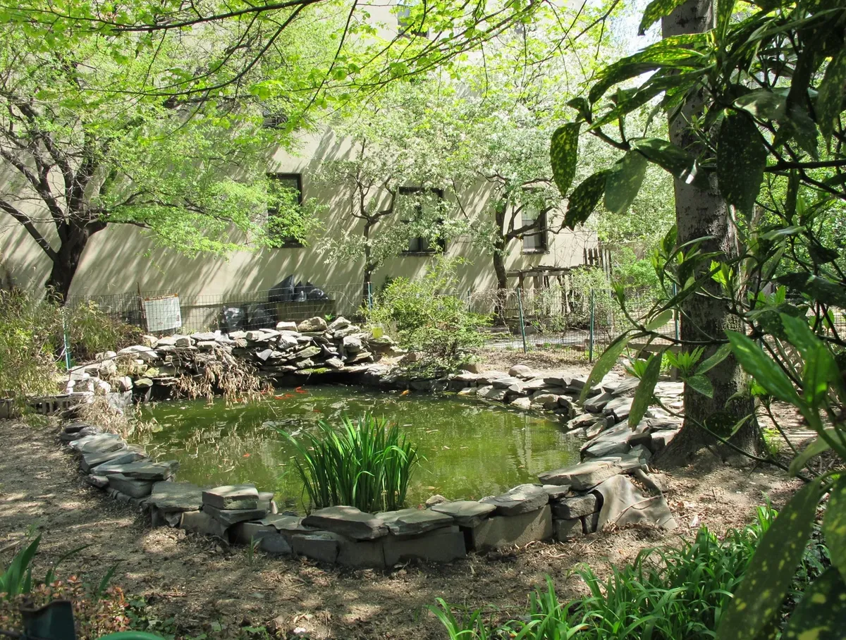 Garden pond