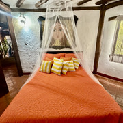 IMG 2265