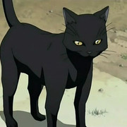 Yoruichi-Cat