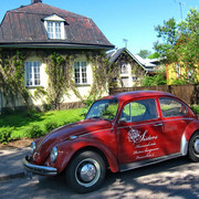 IMG-6272