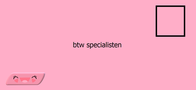 btw-specialisten