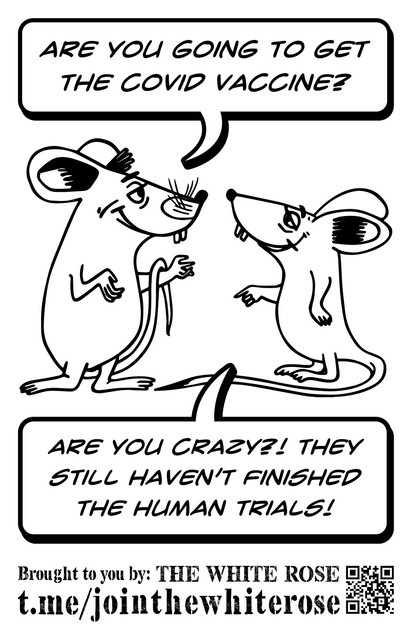 Mice-Cartoon