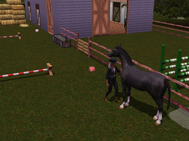 Screenshot-257