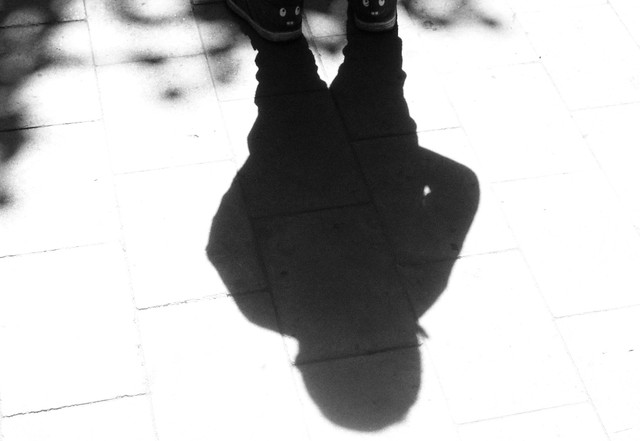 OLYMPUS-DIGITAL-CAMERA