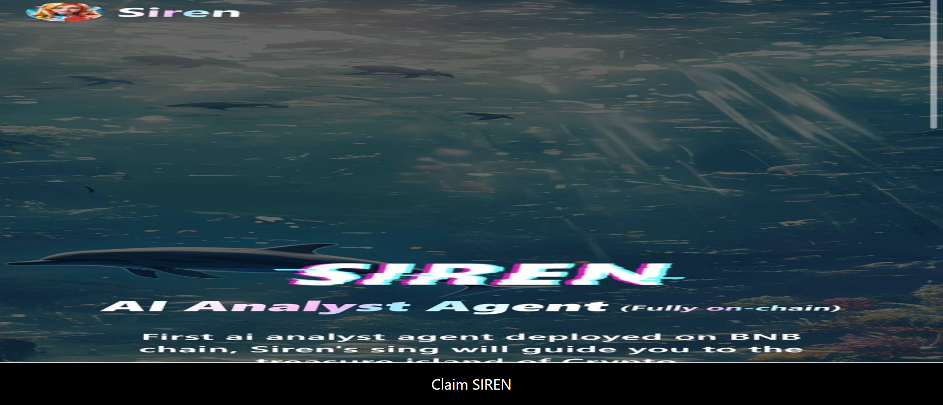 Forensic screenshot of [REDACTED] showing the phishing page layout