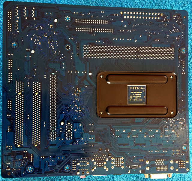 DSC 4566