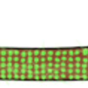 otsapanta4 5 3