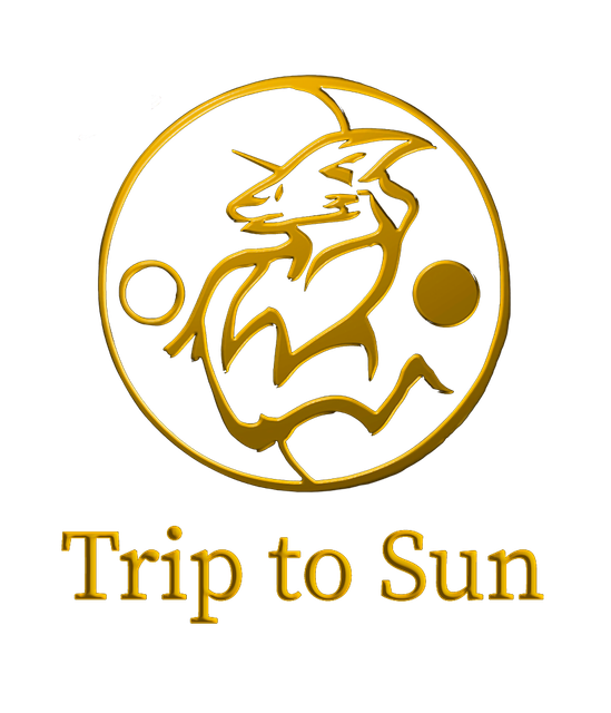 Trip to Sun