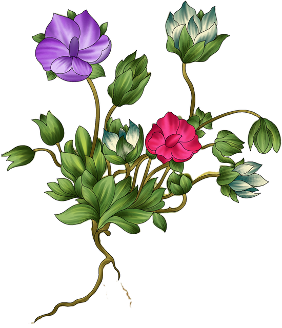 b91ce193a45687dddf5b4a6eb95c4b9c.png