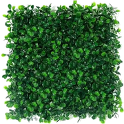 transparent.png