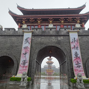 DSC08334