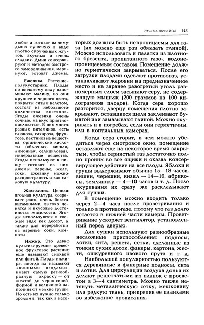 1989-146