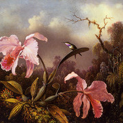 Orchids-and-Hummingbird-4