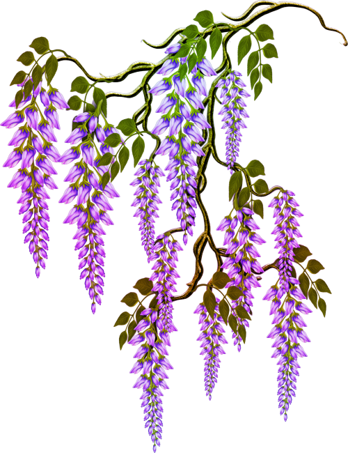 2ac076d4f812a82b3132ebe7ea635d6e.png