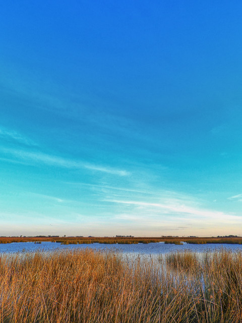 DSCN4840.jpg